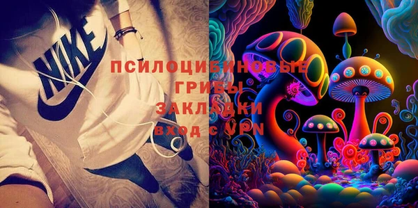 дурь Нязепетровск