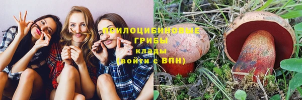 дурь Нязепетровск