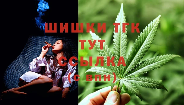 PSILOCYBIN Няндома