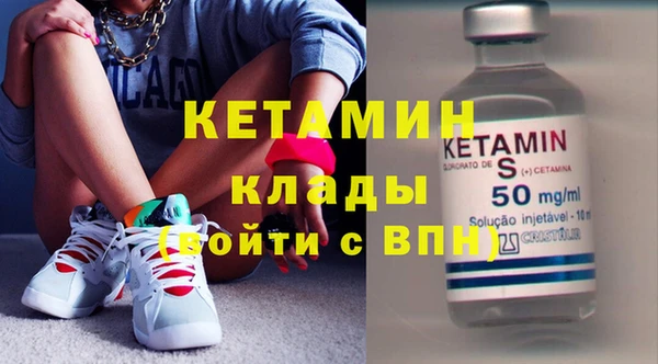 шишки Осинники