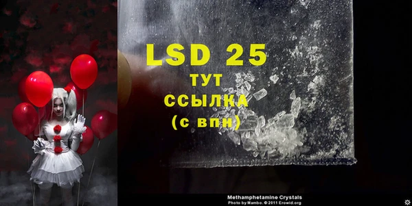 PSILOCYBIN Няндома