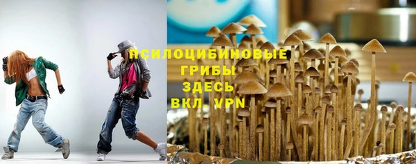 мескалин Нягань