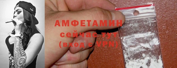 шишки Осинники