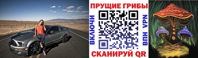 Купить закладки  Иноземцево  Псилоцибиновые грибы мухоморы
